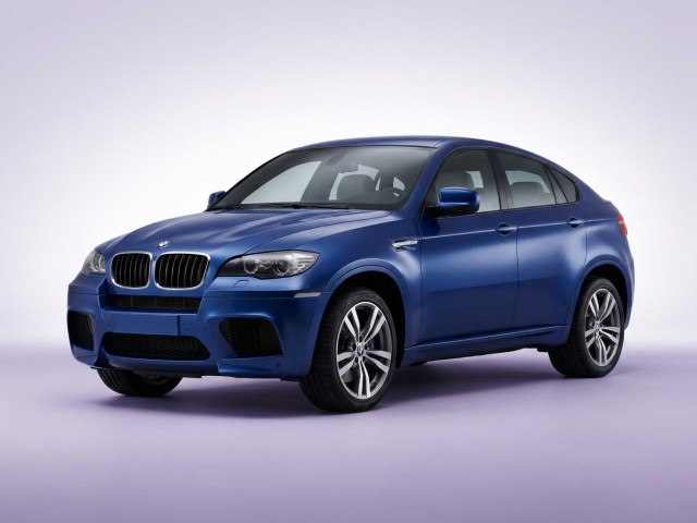 BMW X6 M I (E71)