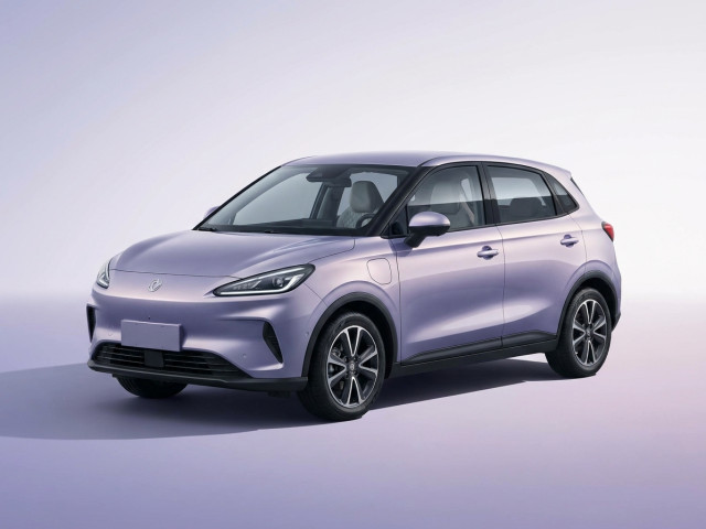 Dongfeng Nammi 01 2024 - 2026