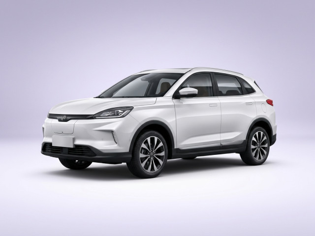 Weltmeister EX5 I