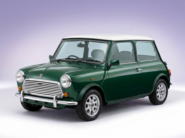 Rover Mini 1989 - 2000