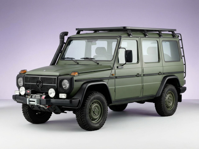 Mercedes-Benz G-Класс I (W461) Professional