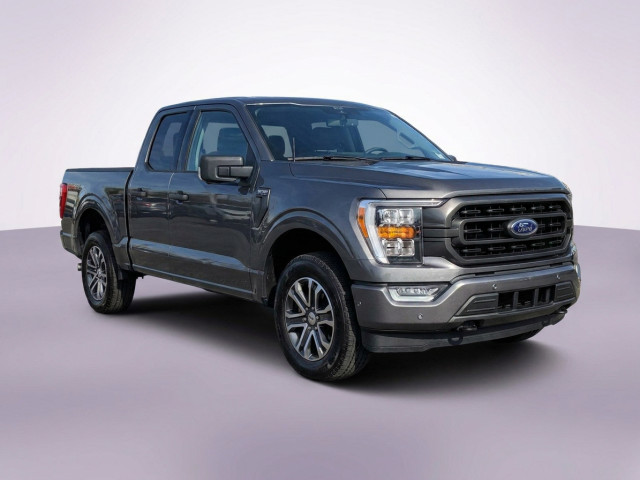 Ford F-150 XIV