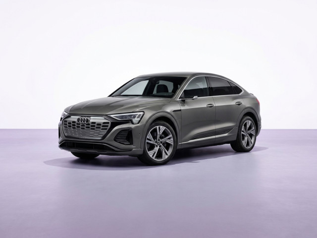 Audi Q8 Sportback e-tron 2022 - 2025