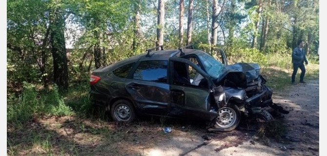 В Марий Эл «Лада» врезалась в дерево – водитель погиб
