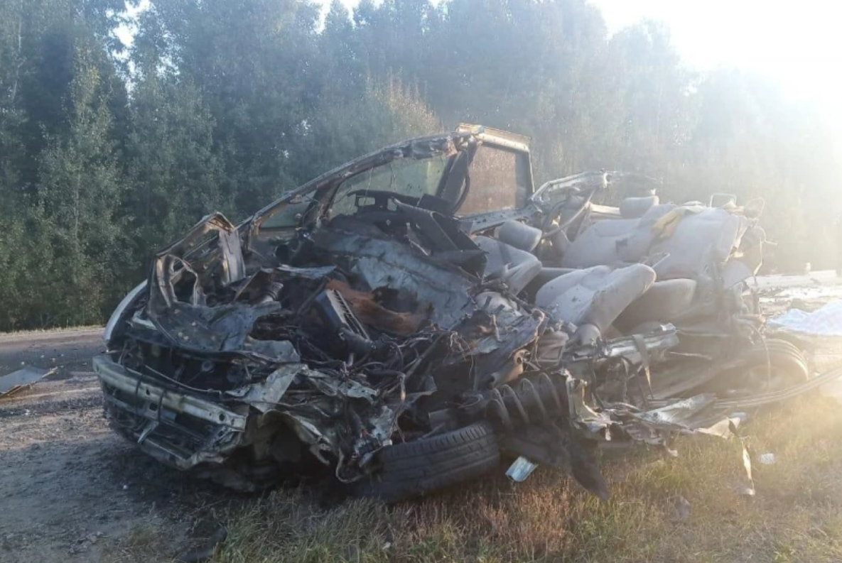 Тягач с горючим загорелся после массового ДТП в Курганской области