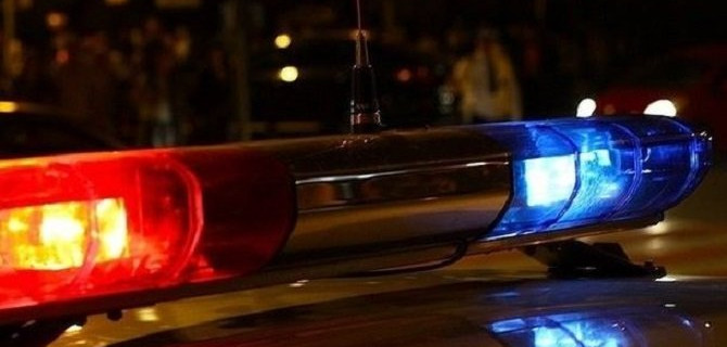 В Гатчинском районе пассажирка иномарки погибла в ДТП с лосем
