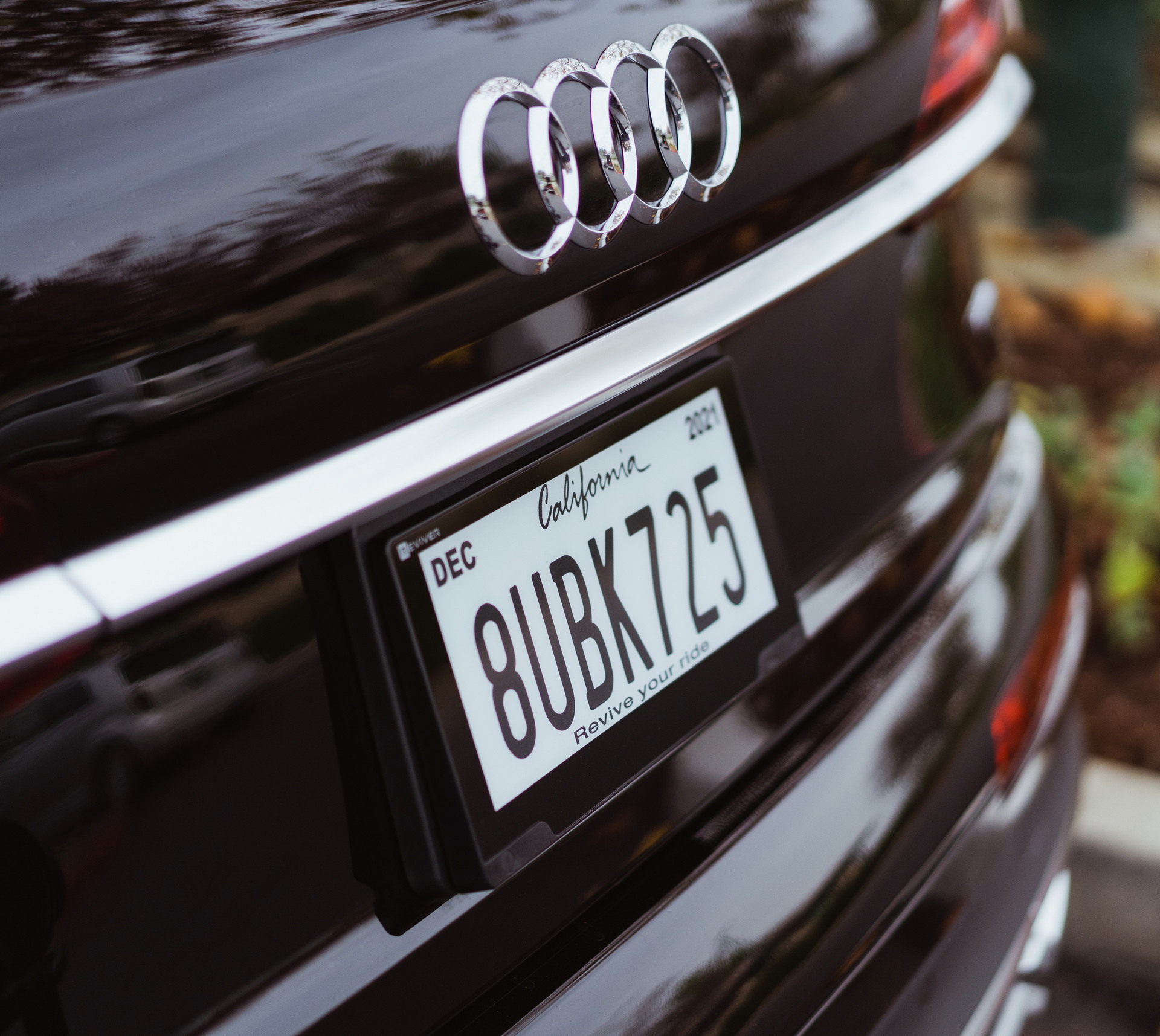 Reviver-License-Plate-9
