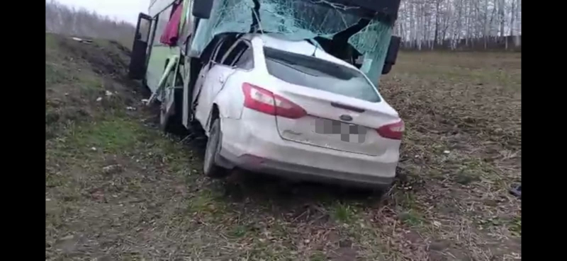 Рязань1