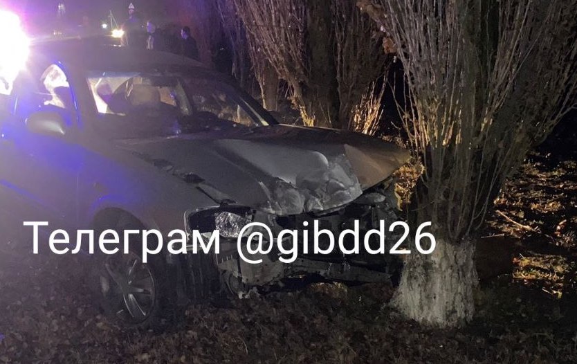 На Ставрополье иномарка съехала в кювет и ударилась о дерево. В ДТП один человек погиб, трое пострадали Дерево