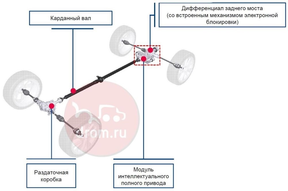 дарго 4