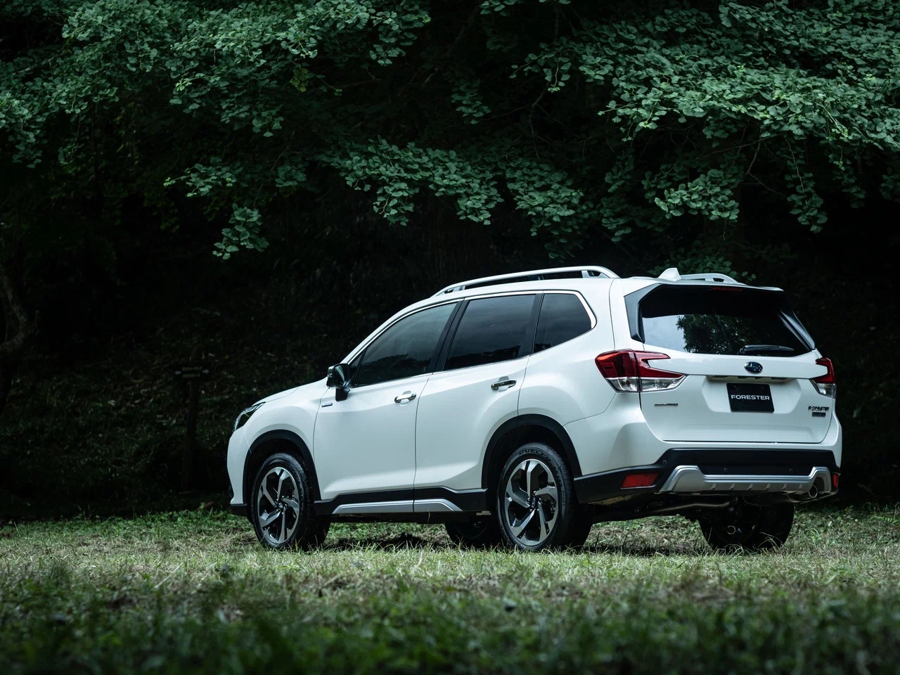 На авторынок нашей страны вернулись кроссоверы Subaru Forester субару 2