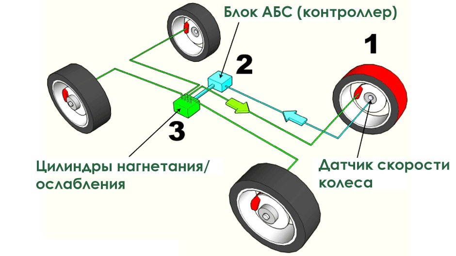 кострома 1