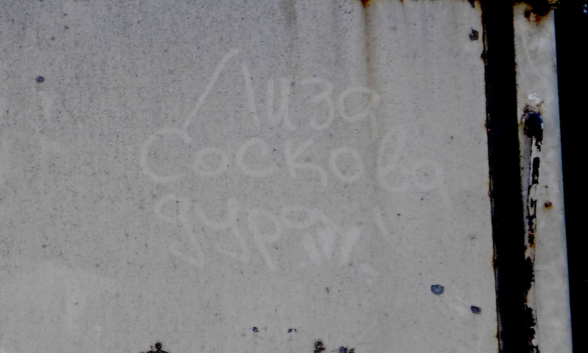 P1480441.jpeg
