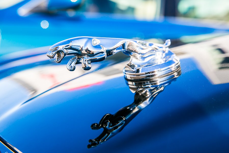 Jaguar Club Russia