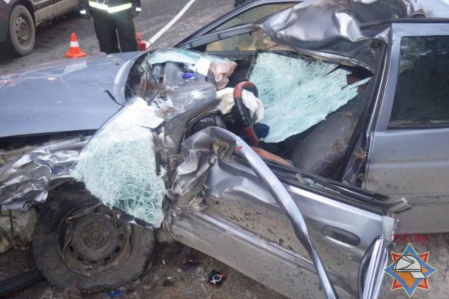В Белоруссии два автомобиля разбились в столкновении с огромным лосем ДТП с лосем