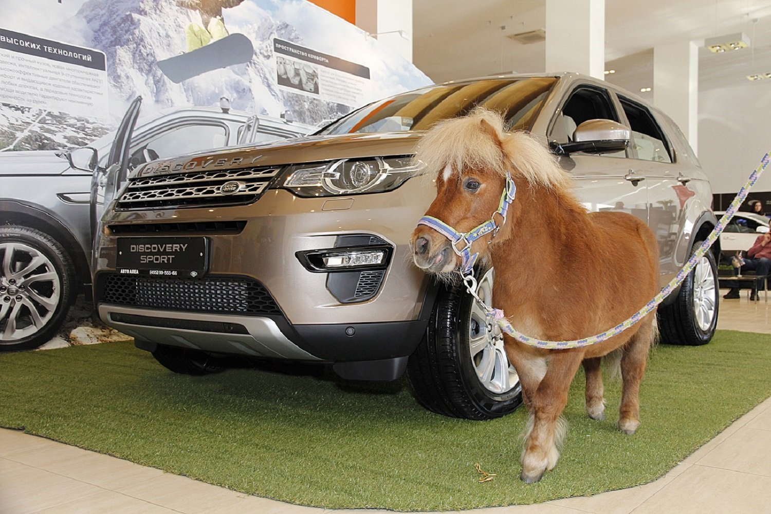 ALEA_Discovery_Sport_post_release_1.JPG