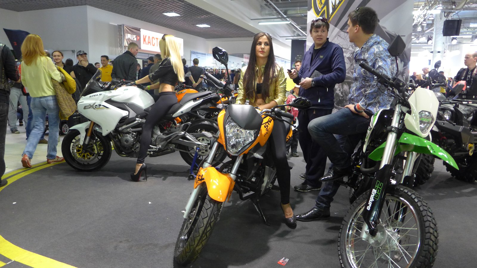 IMIS 2014