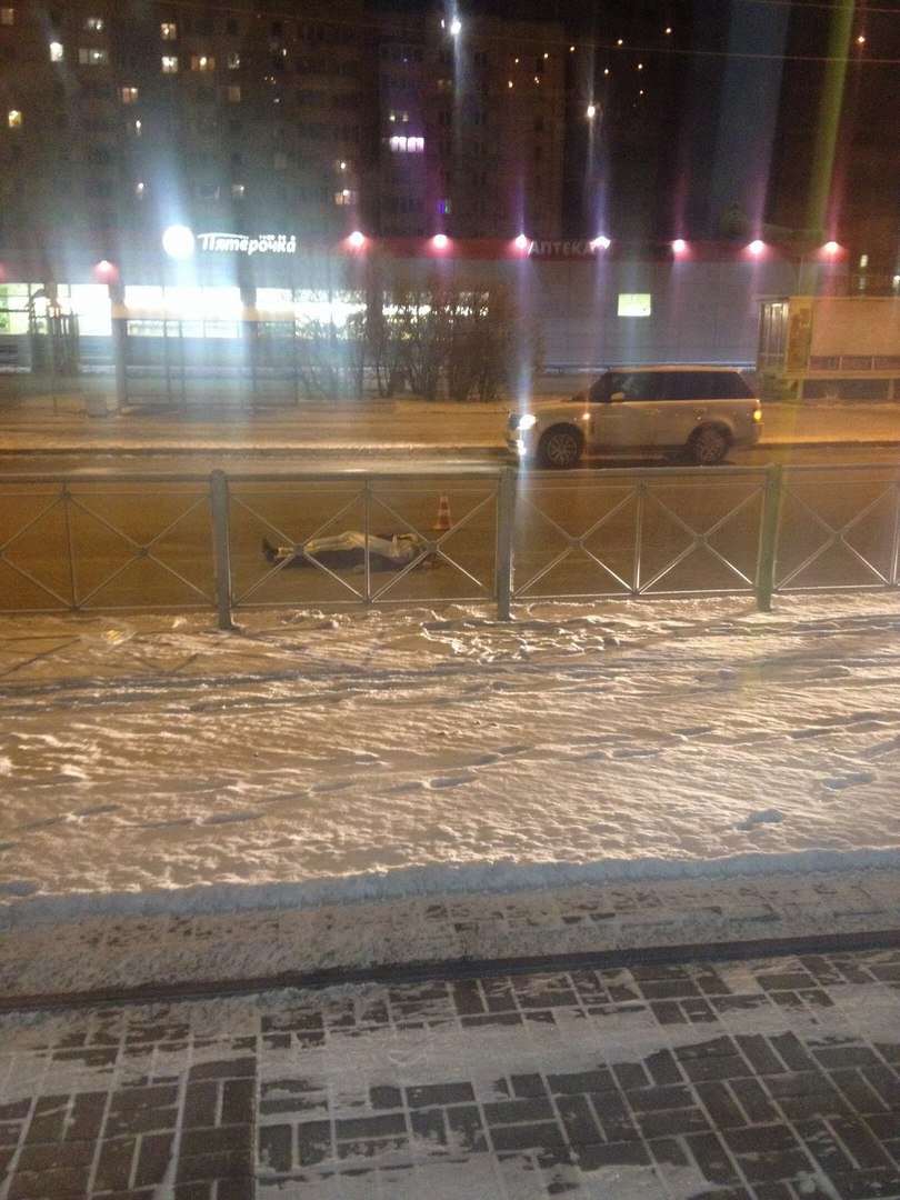 В Купчино насмерть сбит пешеход.jpg