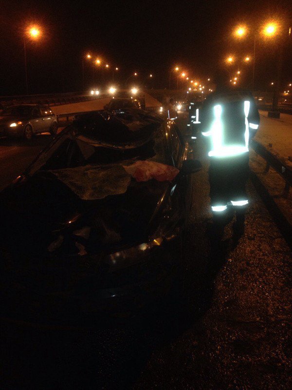 В Петербурге на КАД автомобиль сбил лося В Петербурге на КАД автомобиль сбил лося 2.jpg