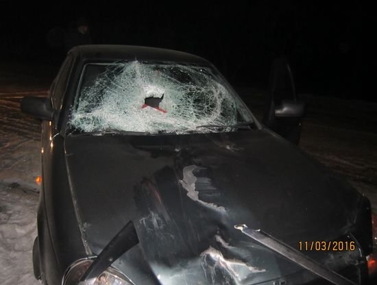 В Хакасии водитель Лады насмерть сбил голосовавшую на дороге женщину (3).JPG
