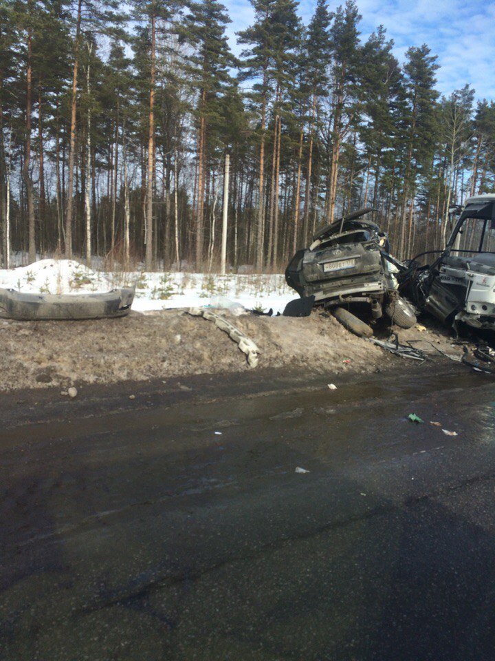 Под Зеленогорском двое погибли в ДТП с маршруткой