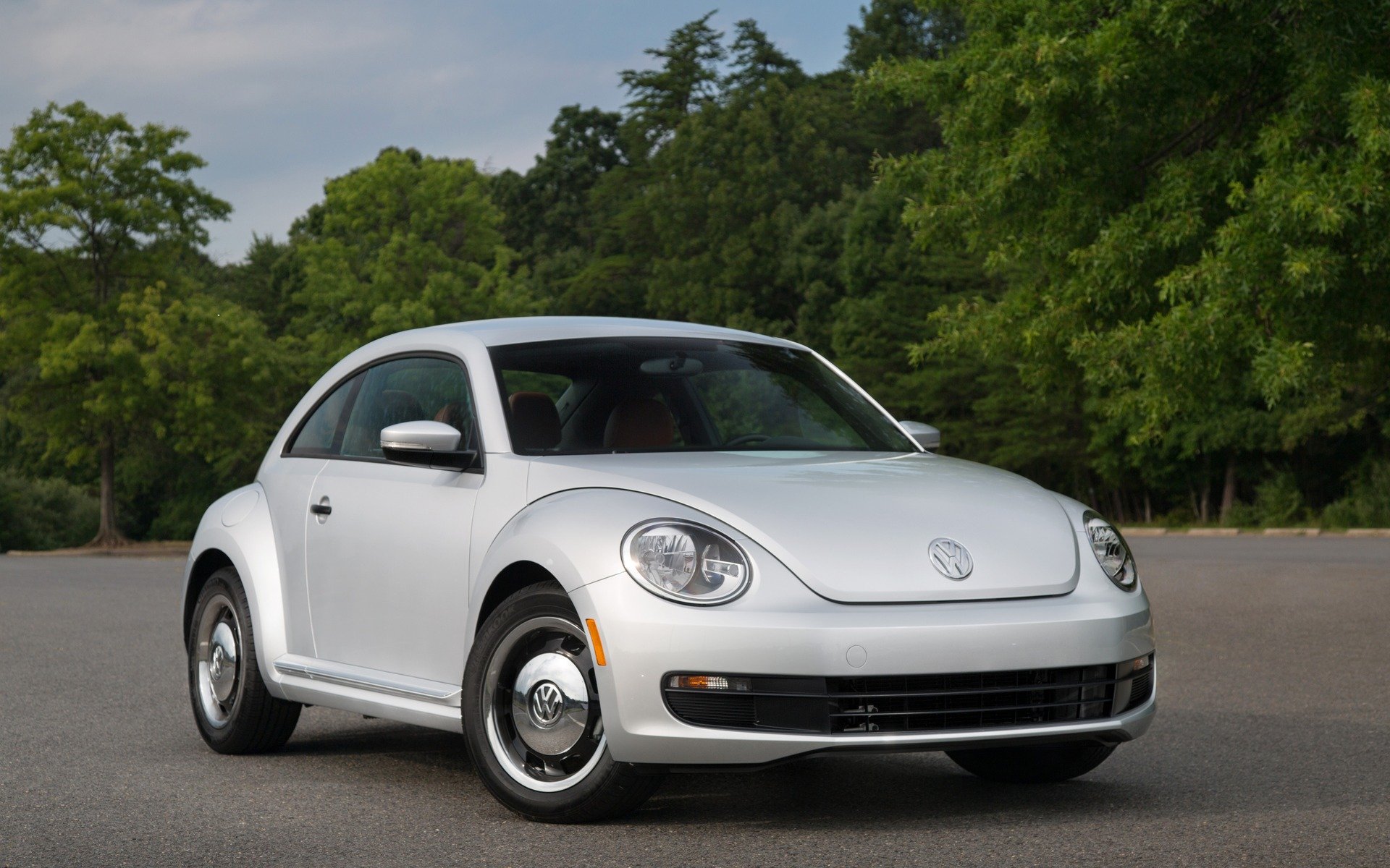 Volkswagen Beetle (2).jpg
