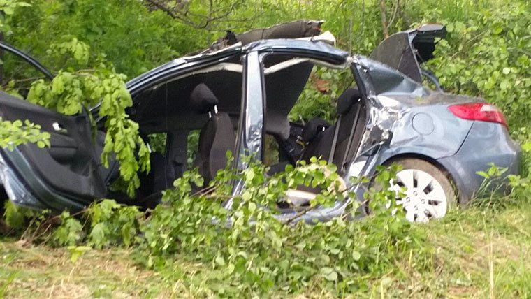 KIA Rio влетел в дерево на Приморском шоссе под Петербургом - один человек погиб ДТП с KIA Rio 6 мая на 25-м километре Приморского шоссе