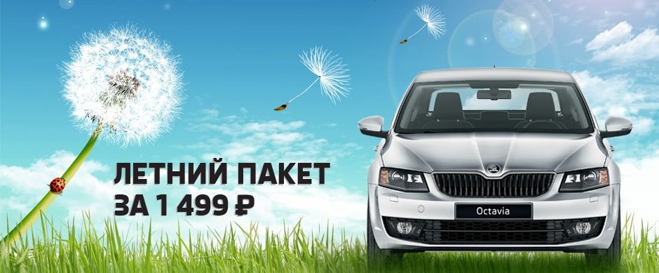 skoda.jpg