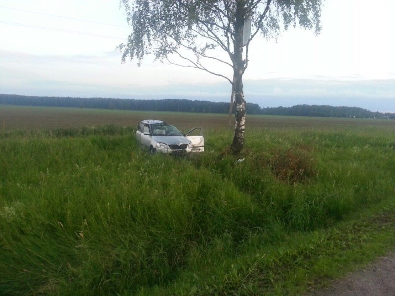 Водитель Hyundai  скрылся с места ДТП с пострадавшей в Шушарах (2).jpg