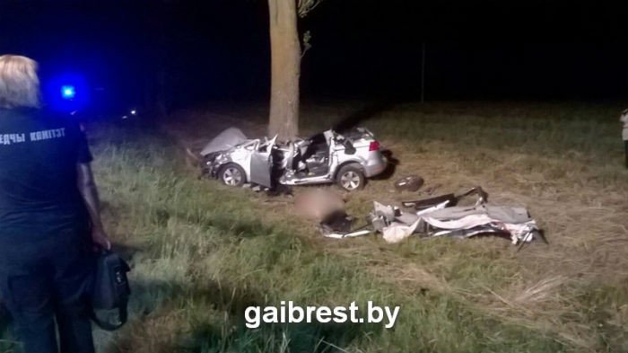В Белоруссии пассажирка Volkswagen Sharan погибла из-за наезда автомобиля на выдру В Белоруссии пассажирка Volkswagen Sharan погибла из-за наезда на выдру