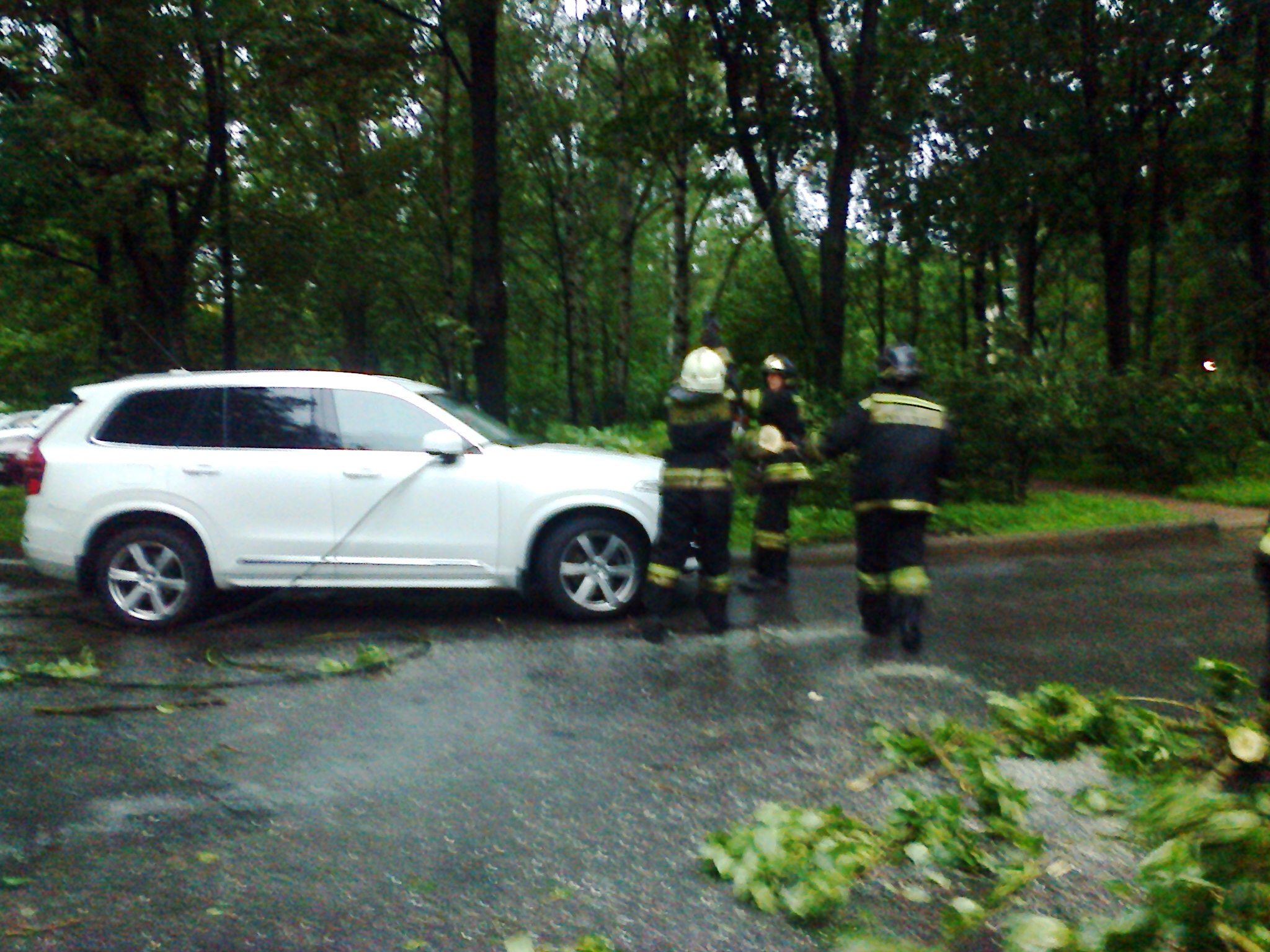 Падение дерева на автомобиль Volvo