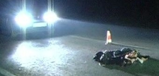 В Волгограде погибла девушка, попав дважды под колеса автомобилей