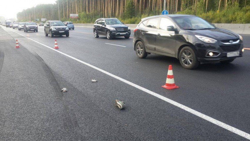 На Кольцовском тракте в Екатеринбурге «обочечник» насмерть сбили пешехода На Кольцовском тракте в Екатеринбурге «обочечник» насмерть сбили пешехода (1).jpg