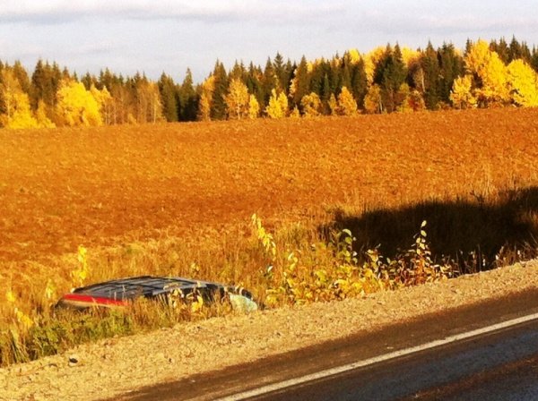 В Прикамье в ДТП погибли два человека (3).jpg