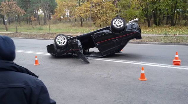 В Киеве белка стала причиной ДТП, 22.10.2016