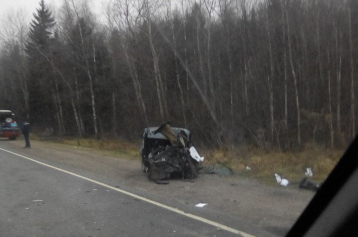 В ДТП с фурой под Тосно погибли два человека (4).jpg