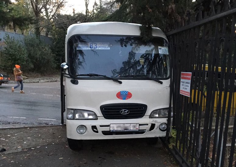 В Сочи из-за гололеда автобус сбил пенсионерку на тротуаре В Сочи из-за гололеда автобус сбил пенсионерку на тротуаре (3)