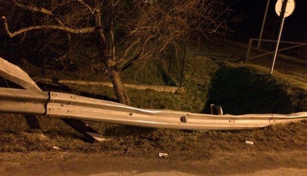 В ДТП под Светлогорском погибла 18-летняя девушка (5)