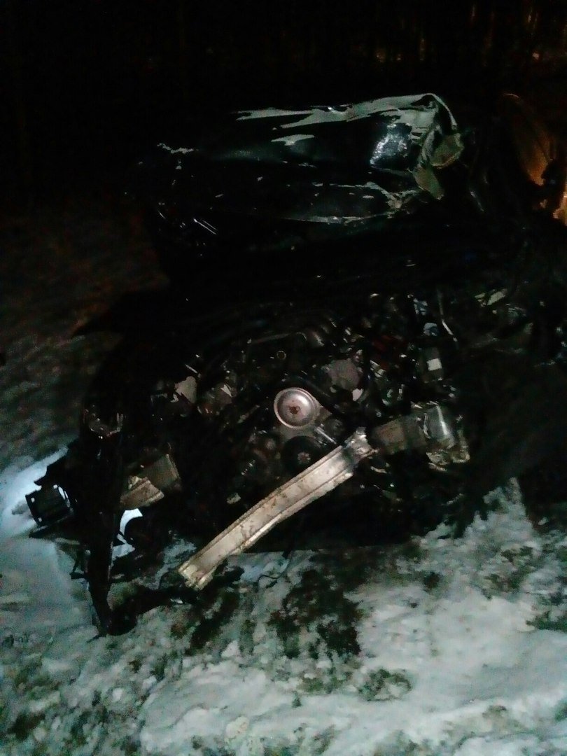 В ДТП с волком на трассе «Кола» погибли два человека (7)