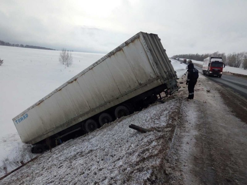 Под Оренбургом вызволяют редких тигров из сошедшей в кювет и брошенной фуры В Оренбургской области сотрудники ГИБДД проводят операцию по спасению белых тигров