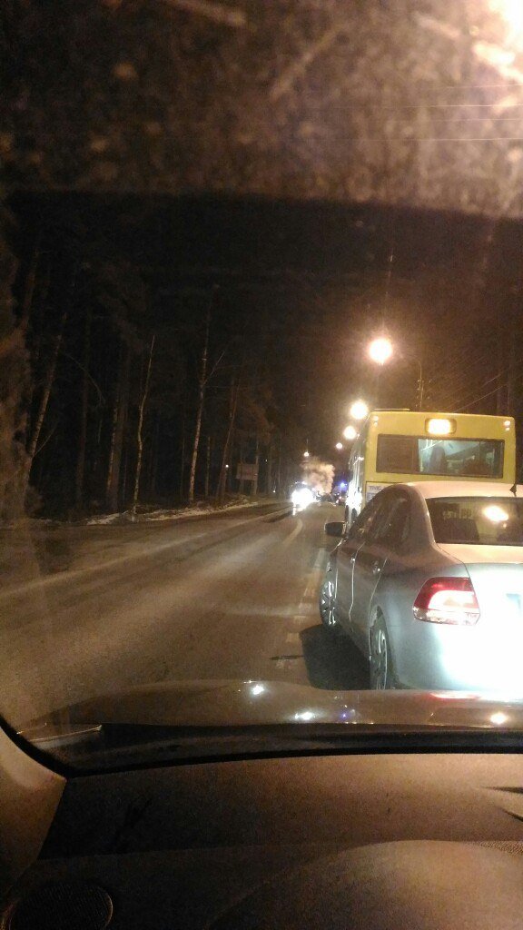В ДТП под Петербургом водитель сгорел в машине (2).jpg