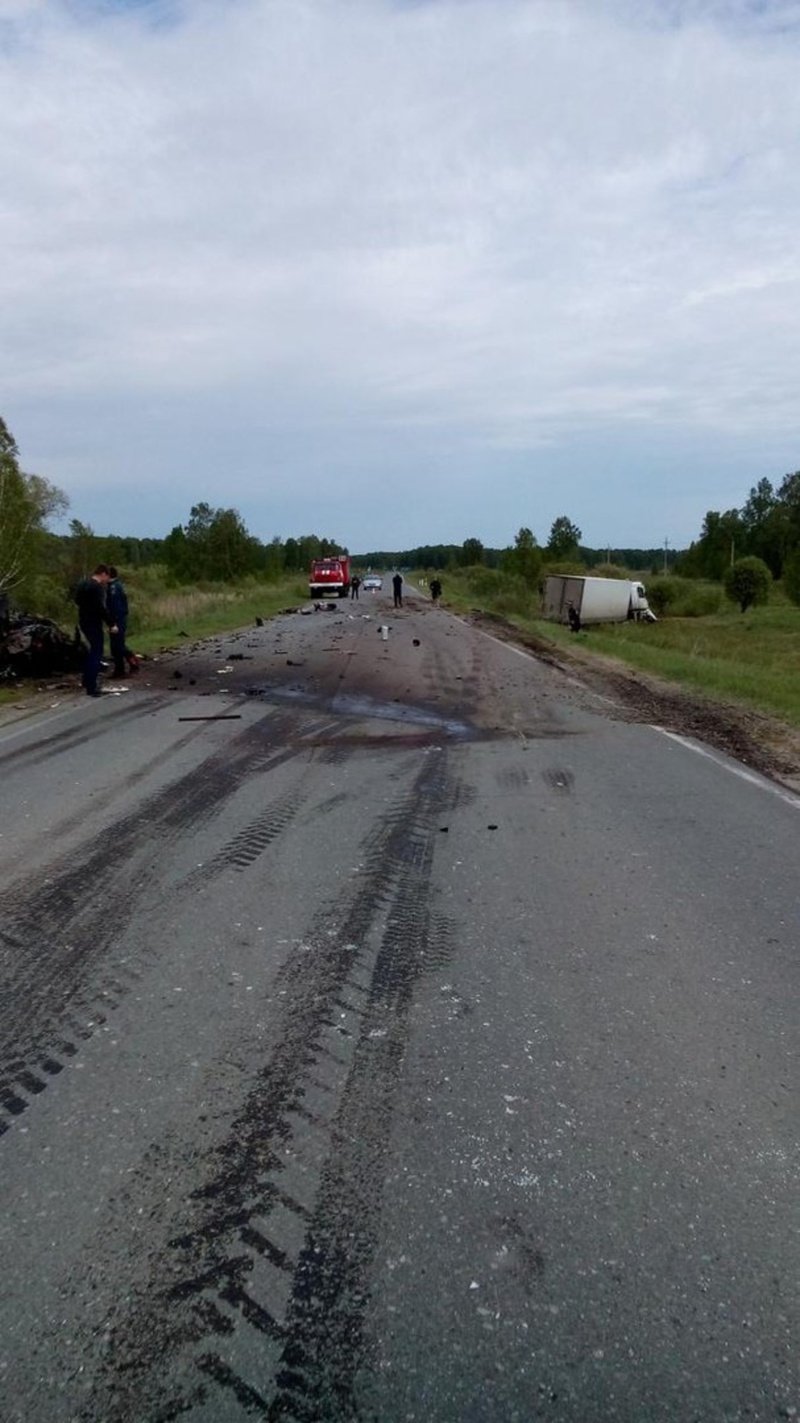 В ДТП с фурой на трассе Голышманово – Аромашево погиб человек (2).jpg
