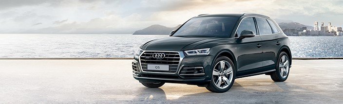 newq5l.jpg