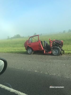 Пять человек погибли в ДТП с грузовиком в Ленобласти