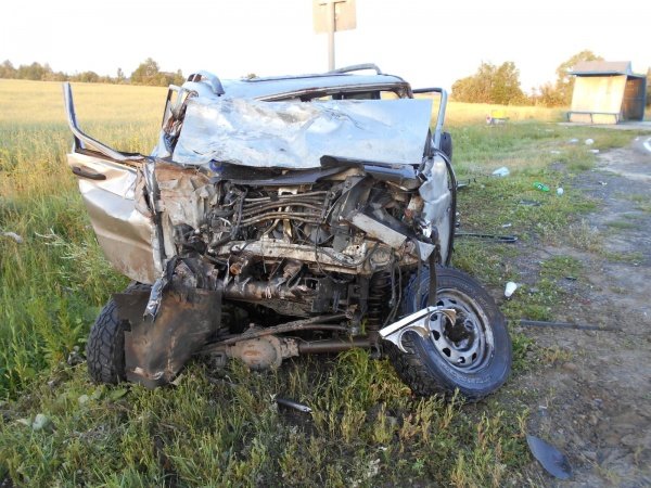 Под Тюменью по вине пьяного водителя погиб 14-летний ребенок (3).jpg