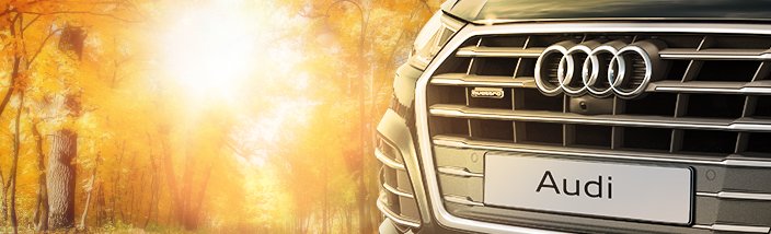 velvet-season_audi_704x214.jpg