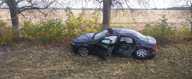 В массовом ДТП в Динском районе погиб человек В массовом ДТП в Динском районе погиб человек (1)