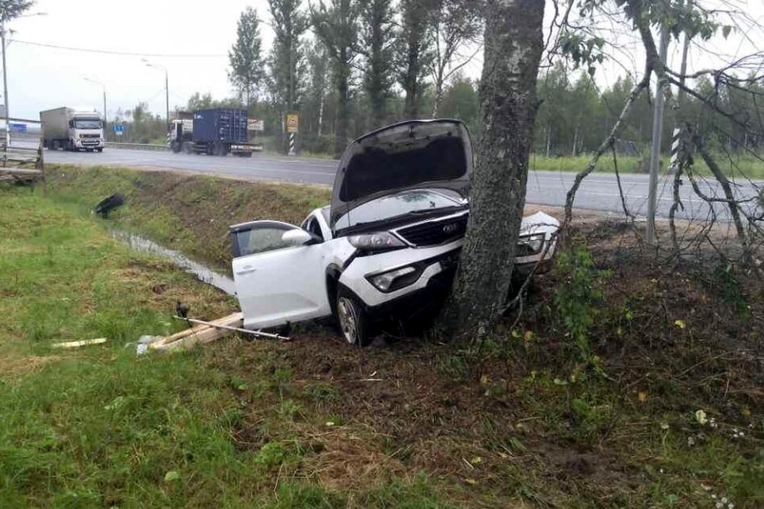 Под Ростовом KIA врезалась в дерево – погиб пассажир