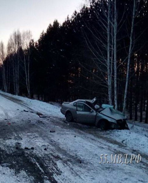Девушка-водитель погибла в ДТП на трассе «Омск - Муромцево» (2)