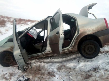 Под Астраханью из-за лошадей на трассе в ДТП погиб человек Под Астраханью из-за лошадей на трассе в ДТП погиб человек (2)